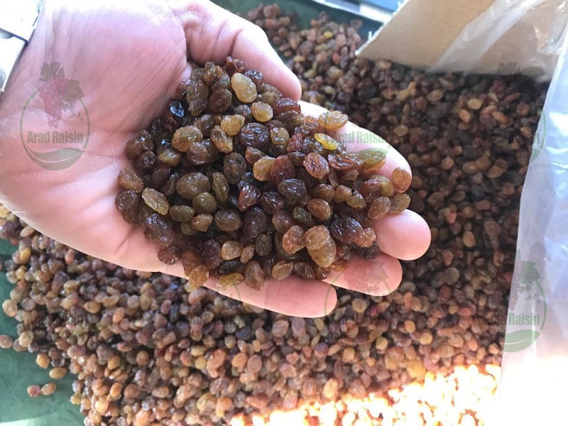 Prices of Exportable Raisins