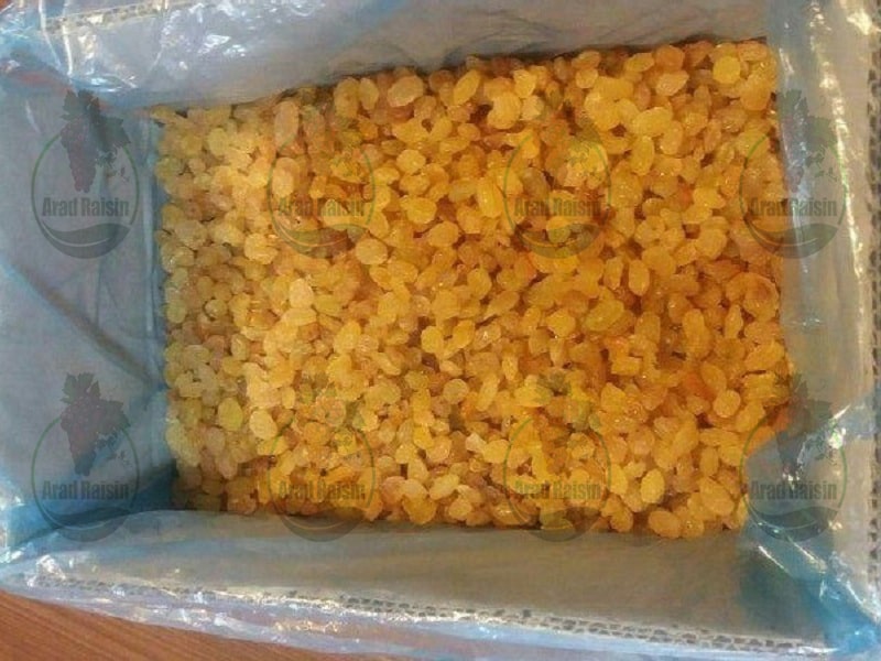 Exportable Golden raisin