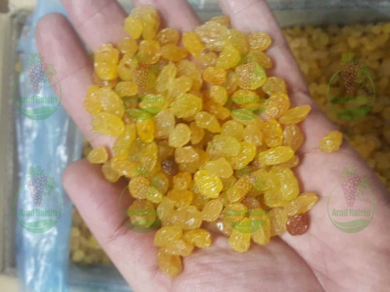 Export of golden raisins