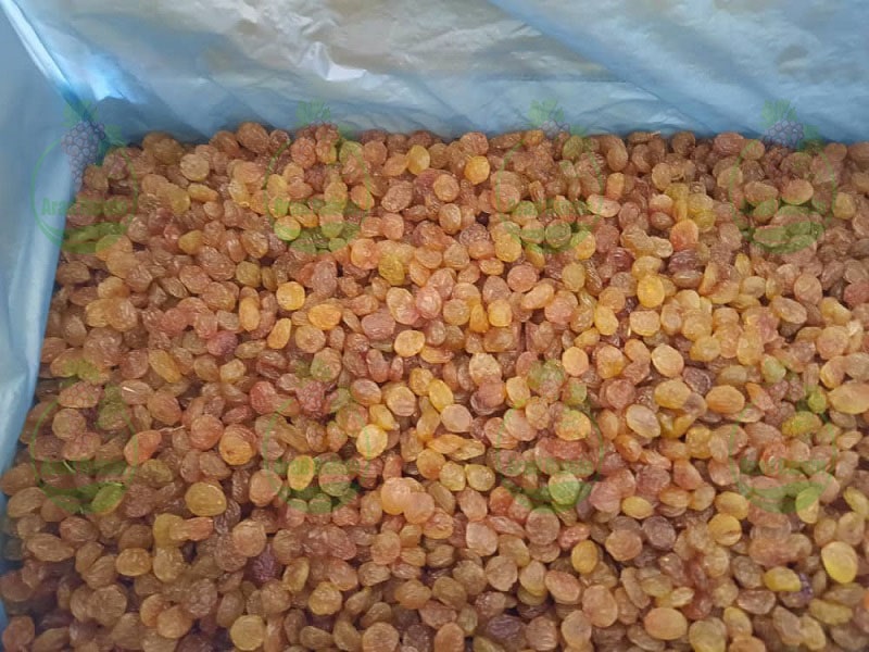 Major export of raisins