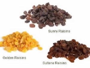 Production of raisins for export