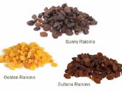 Major raisin production company for export