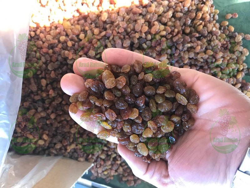 Wholesale export raisins