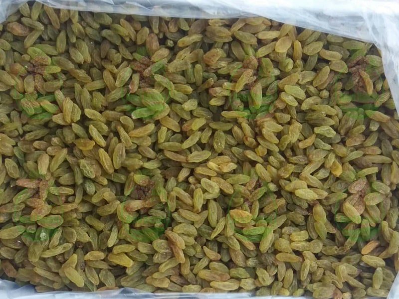 Supply of Kashmar raisins