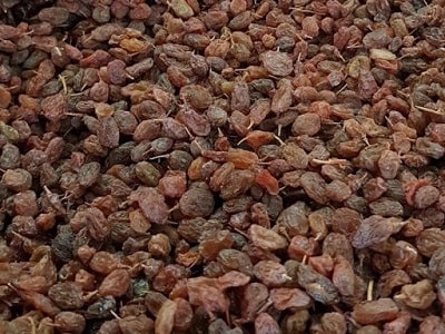 Providers of sunny raisins in bulk
