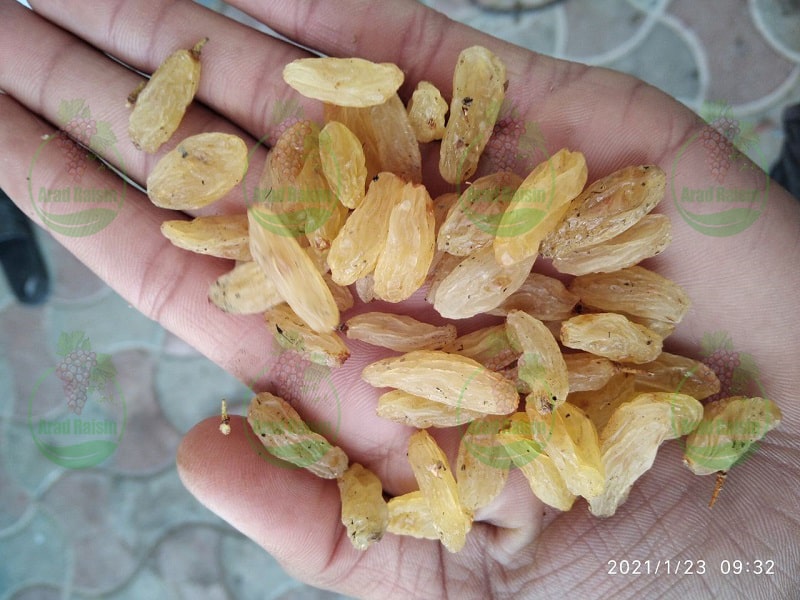 Exporter of Green Raisins